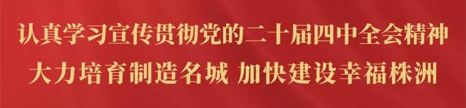 首款车型预售当晚App崩溃无法下单 高管自嘲“草台班子”
