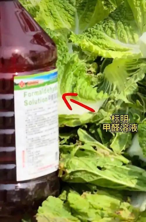 降薪5000万！文班亚马降薪，意味着什么？